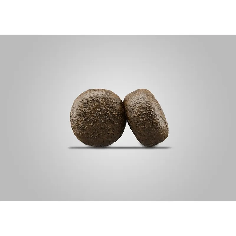 غذای خشک سگ بالغ جوسرا مناسب کاهش وزن