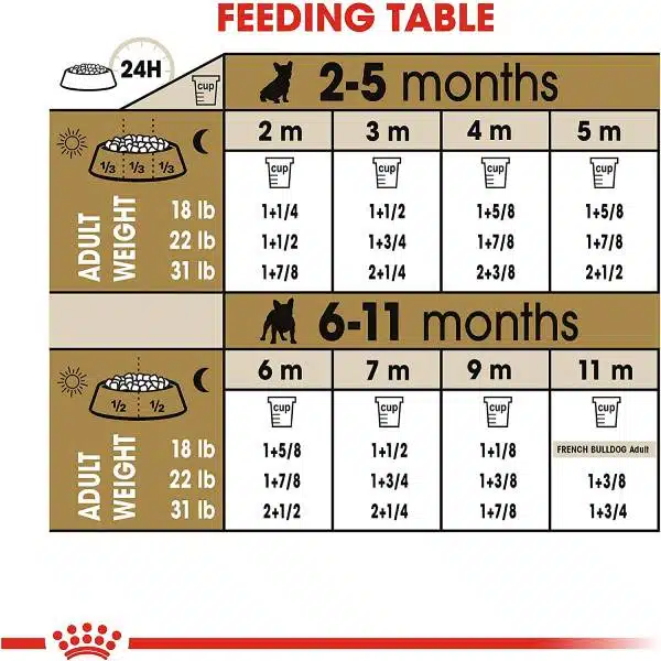 غذای توله سگ فرنچ بولداگ رویال کنین