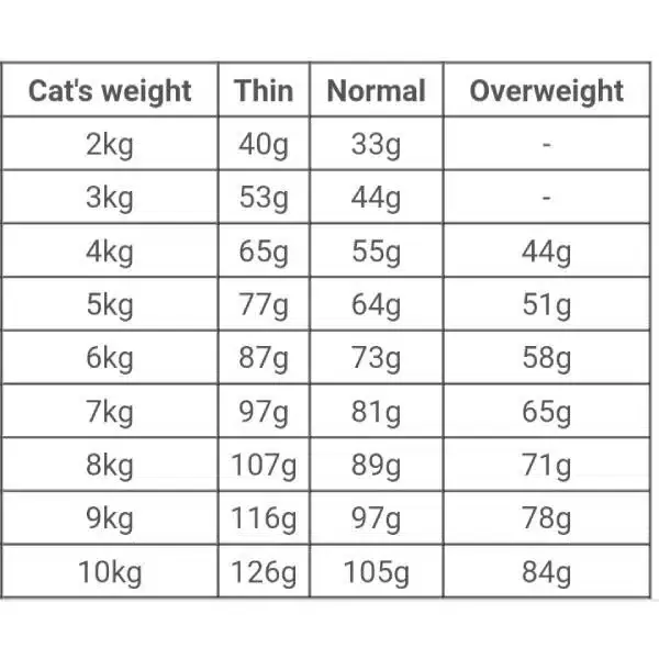 غذای گربه دنتال رویال کنین