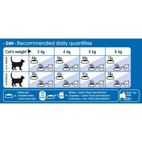 غذای گربه رویال کنین ایندور لانگ هیر