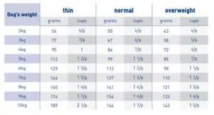 غذای خشک سگ کوچک دنتال رویال کنین 