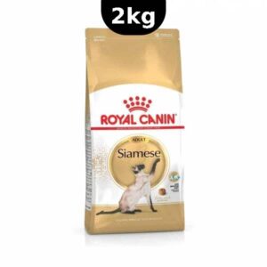 غذای خشک گربه سیامی رویال کنین